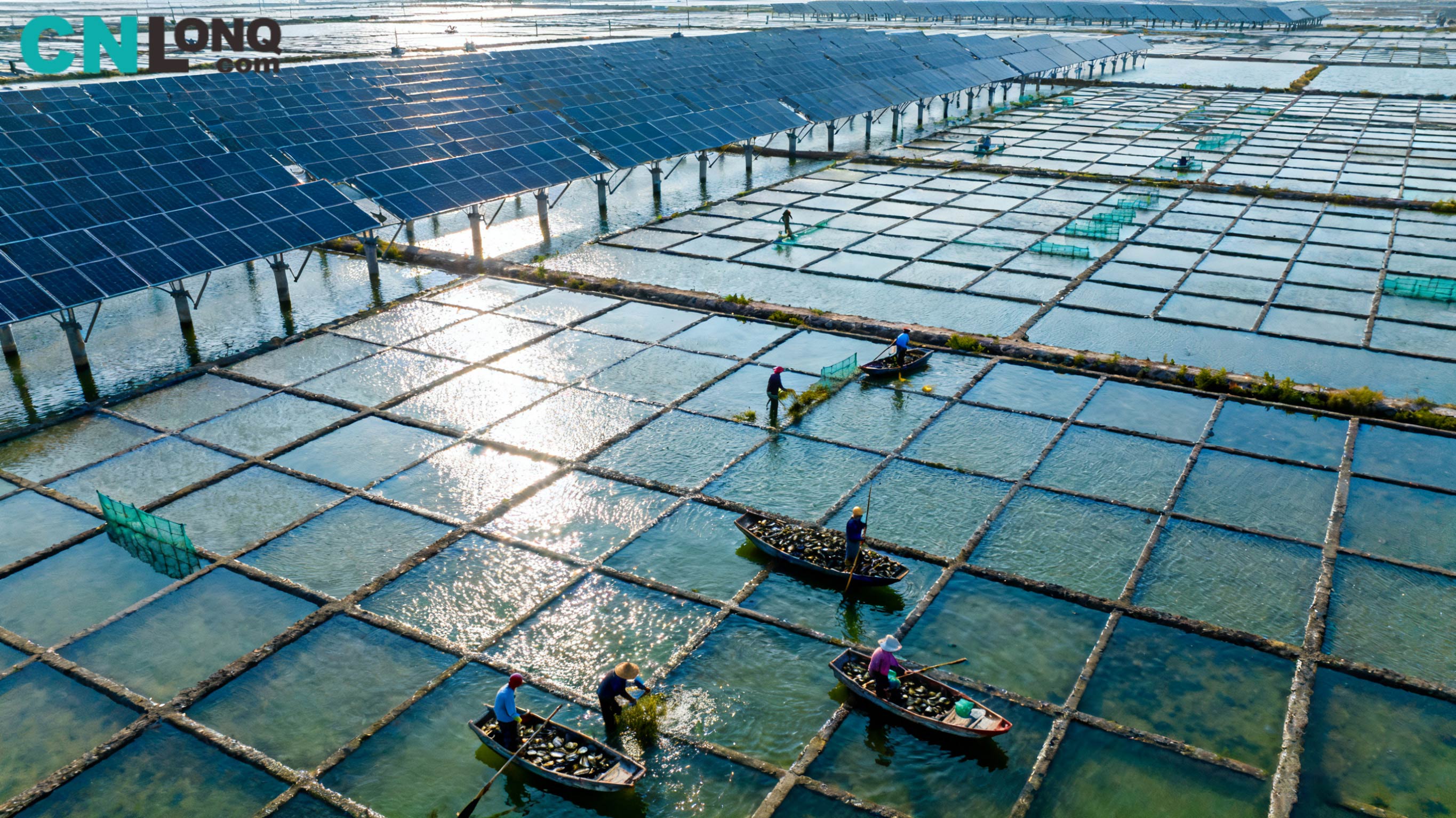 Celková investice 1,2 miliardy RMB! Xindao Qingkou Salt Field 250 MW 